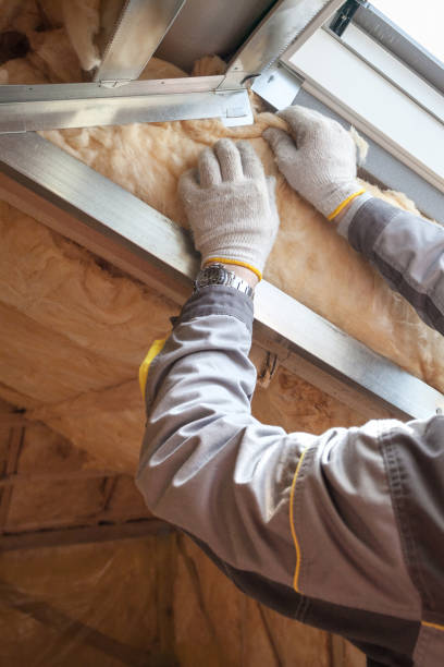 Best Insulation Installation Services in Lorton, VA