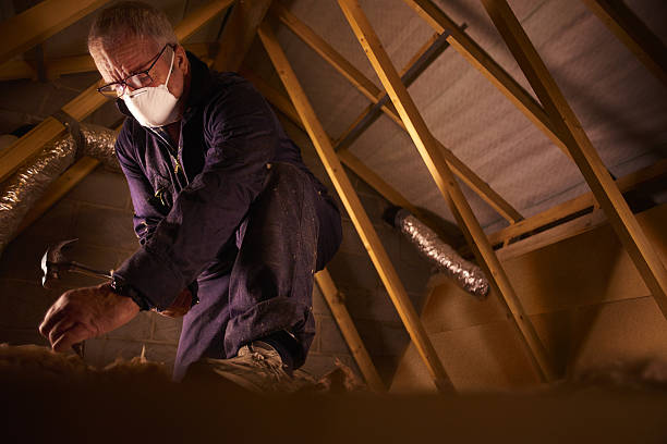 Best Types of Insulation in Lorton, VA