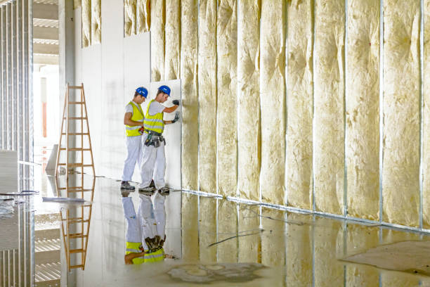 Best Insulation Materials and Products in Lorton, VA